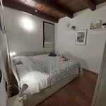 Dodo's House 4*