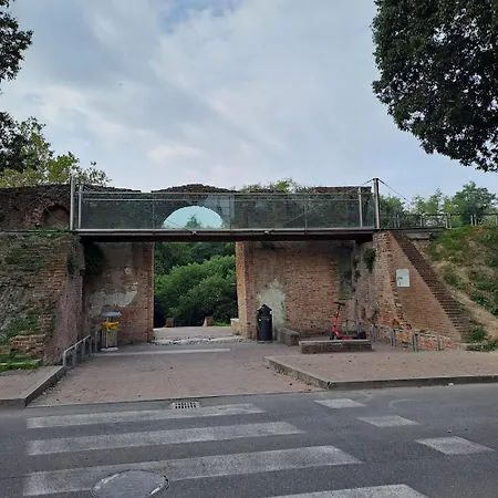 Dodo's House פררה