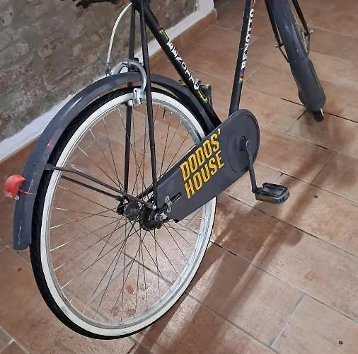 Dodo's House Vendégház